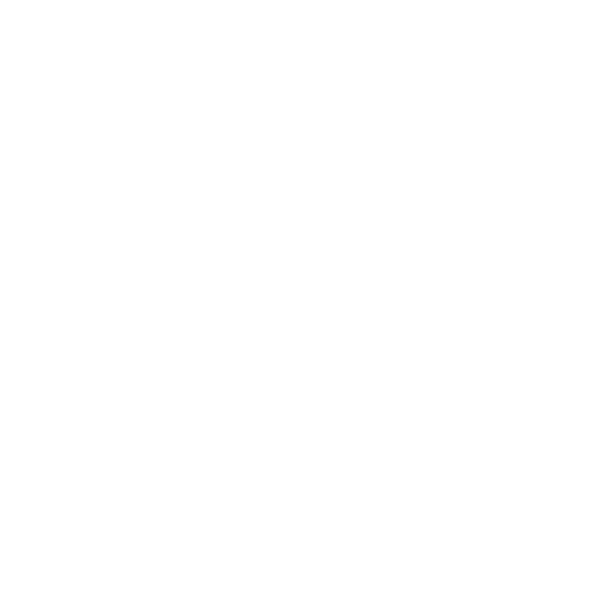 Bespoke Development